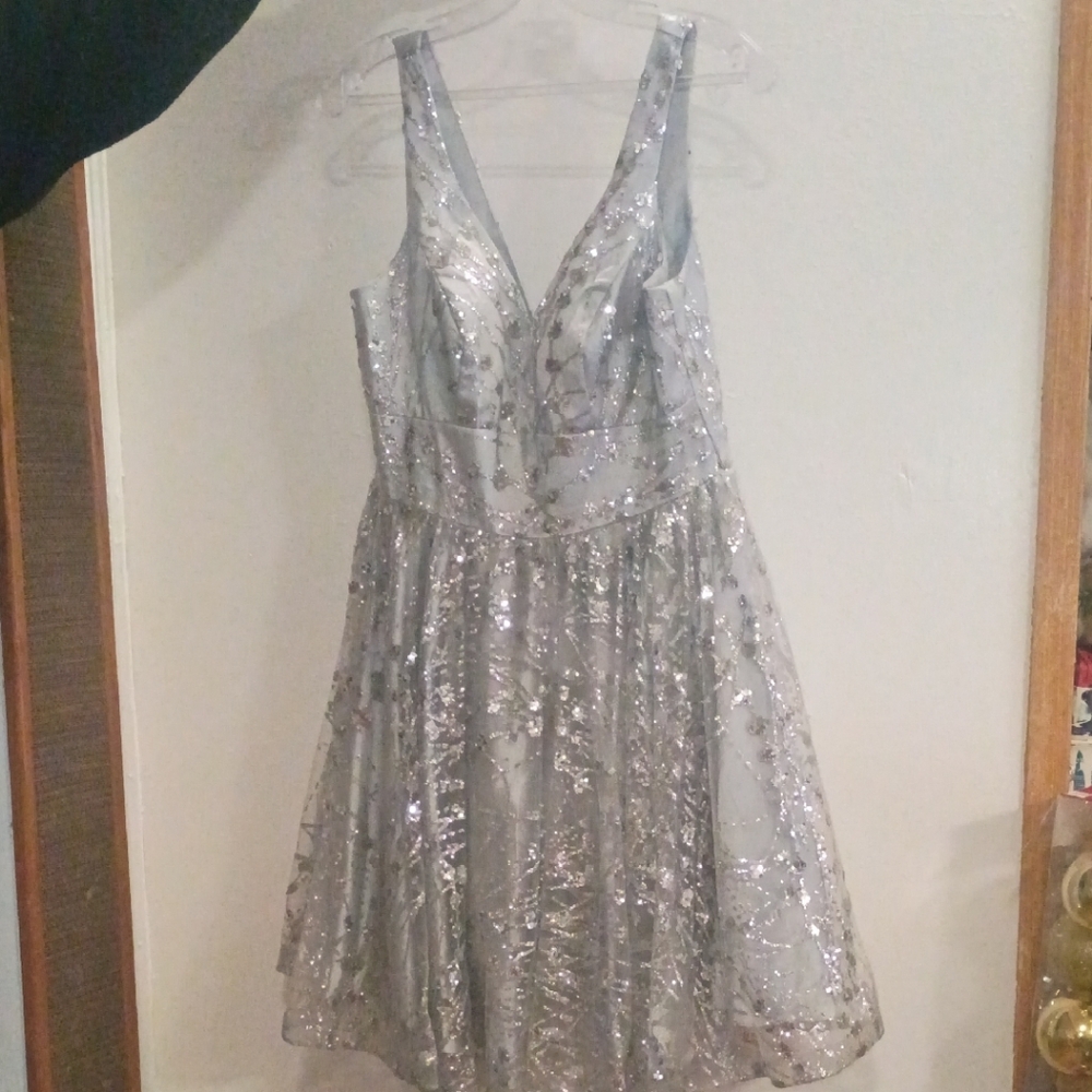 Silver Sequin Dress